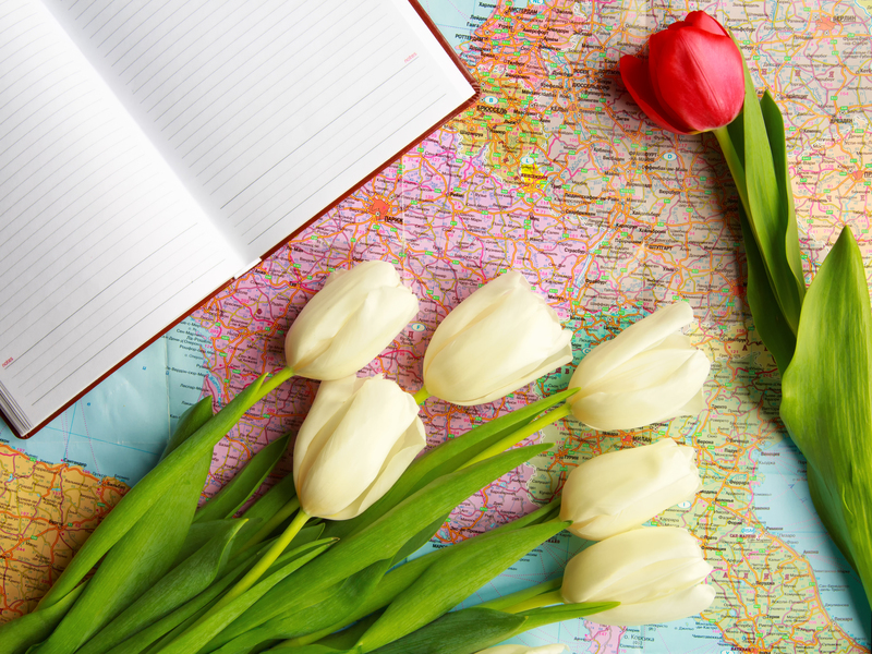 flowers  / tiny flowers 